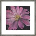 Pink Flower Framed Print