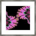 Pink Fractal Reflections Abstract Art Framed Print
