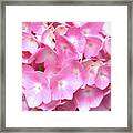 Pink Hydrangea Framed Print