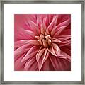 Pink Invasion Framed Print