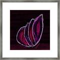 Pink Wing Framed Print