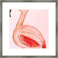 Pinky Tampa's Famous Flamingo Framed Print