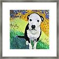 Butchie Framed Print