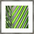 Plant On The Sill Framed Print