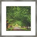 Plantation Path Framed Print