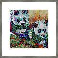 Playful Giant Pandas Framed Print