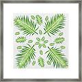 Plethora Of Palm Leaves 21 On A White Textured Background Framed Print