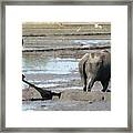 Plowing The Rice Field Framed Print