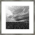 Plum Island Marsh Framed Print