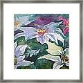 Poinsettias Framed Print