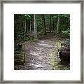 Point Trail At Obed 18 Framed Print