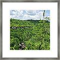 Point Trail At Obed 7 Framed Print