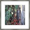 Poison Oak In Fall Coloirs Framed Print