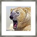 Polar Bear Roar Framed Print