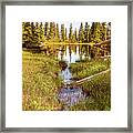 Pond In Alpine Country Framed Print