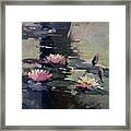 Pond Lilies Framed Print