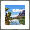 Pond Reflections In Mohave Desert, Nevada Framed Print