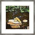 Pond Stones Framed Print