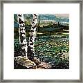 Pond Twilight Framed Print