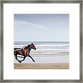 Pony And Trap Framed Print