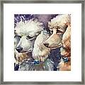 Poodlelucious Framed Print