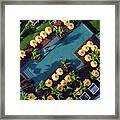 Poolside Umbrellas Framed Print