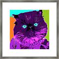 Popart Persian Kitty Framed Print