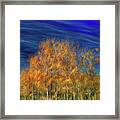 Poplar Wind Framed Print