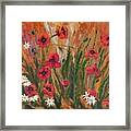 Poppies And Daisies Framed Print