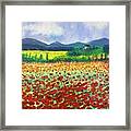 Poppies In Tuscany Framed Print