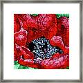 Poppies On Masa Watercolor Framed Print