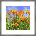 Poppy Art Framed Print