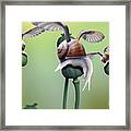 Poppy Snail Framed Print