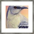 Portrait Of A Mockingbird Framed Print