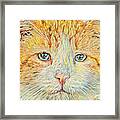 Portrait Of Teddy Framed Print