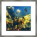 Post Storm Sunset Framed Print