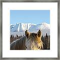 Power From The Mountain Framed Print