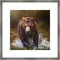 Power Of The Grizzly Framed Print