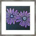 Practice Colored Pencil Daisies Framed Print