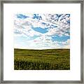 Prairie Field Framed Print