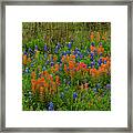 Prairie Spring Framed Print