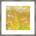 Prairie Wind Textures 11 Framed Print