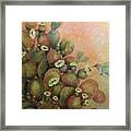 Prickly Pear Cactus Framed Print