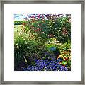 Pride Of The Garden Club Of Harwich Framed Print