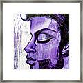 Princes Purple Rain Framed Print