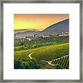 Vineyards After Sunset In Prosecco Hills Framed Print