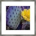 Protected Beauty Full Frame 72 Inches Framed Print