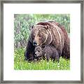 Protecting Her Baby Framed Print