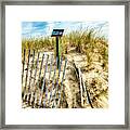 Protecting The Sand Dune Framed Print