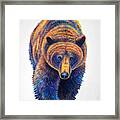 Proud Grizzly Framed Print
